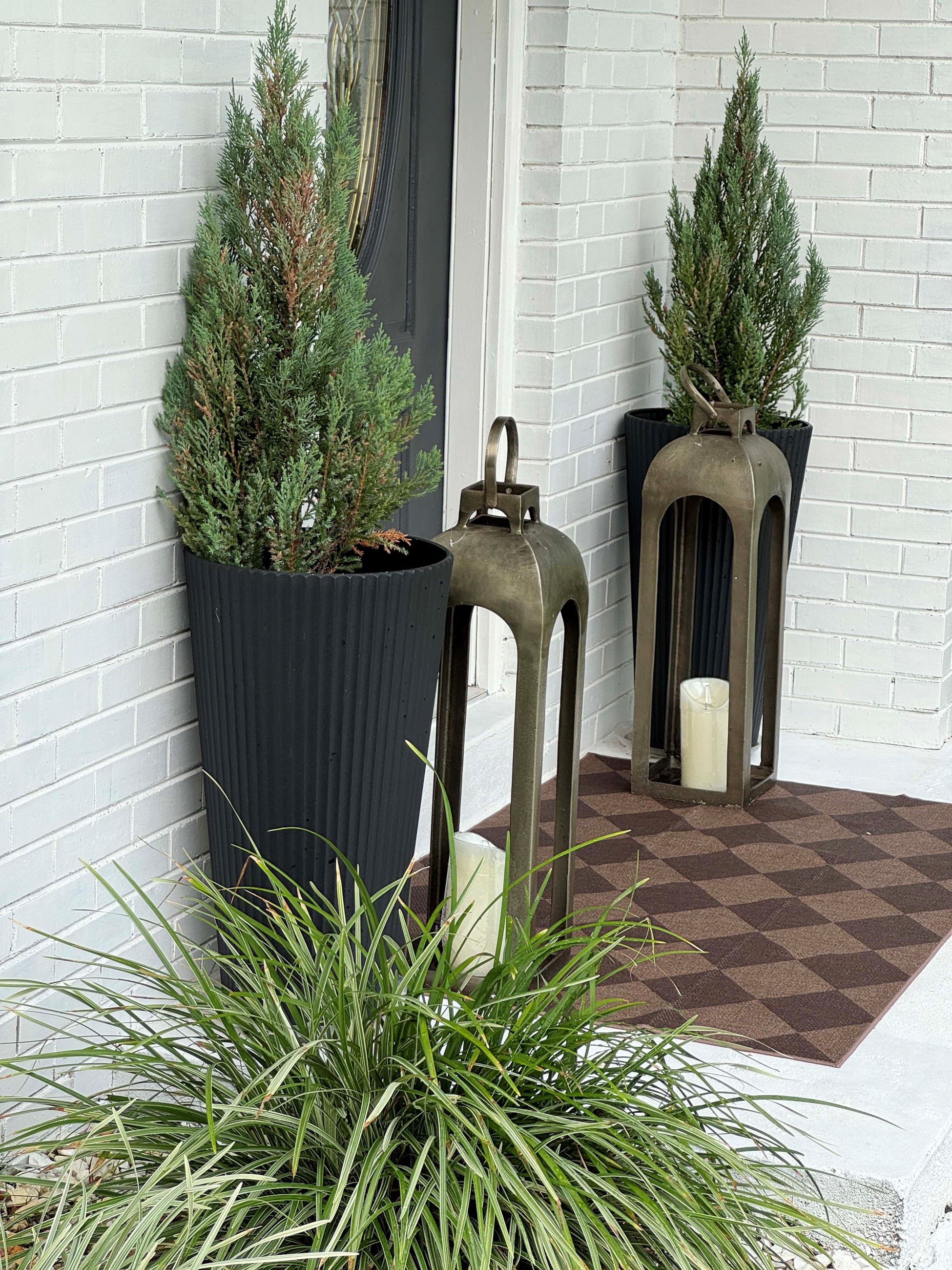 Our Yard of the Month winner for September 2025 is Jessica Allie.