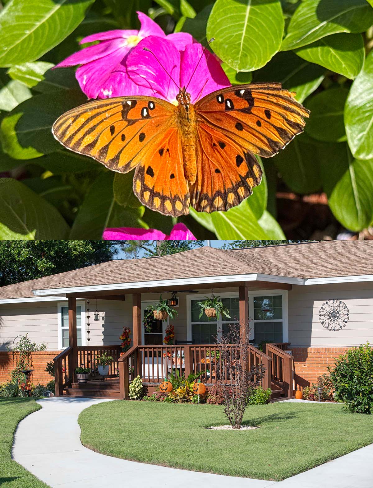 The Giorella home is our November 2025 Yard of the Month.