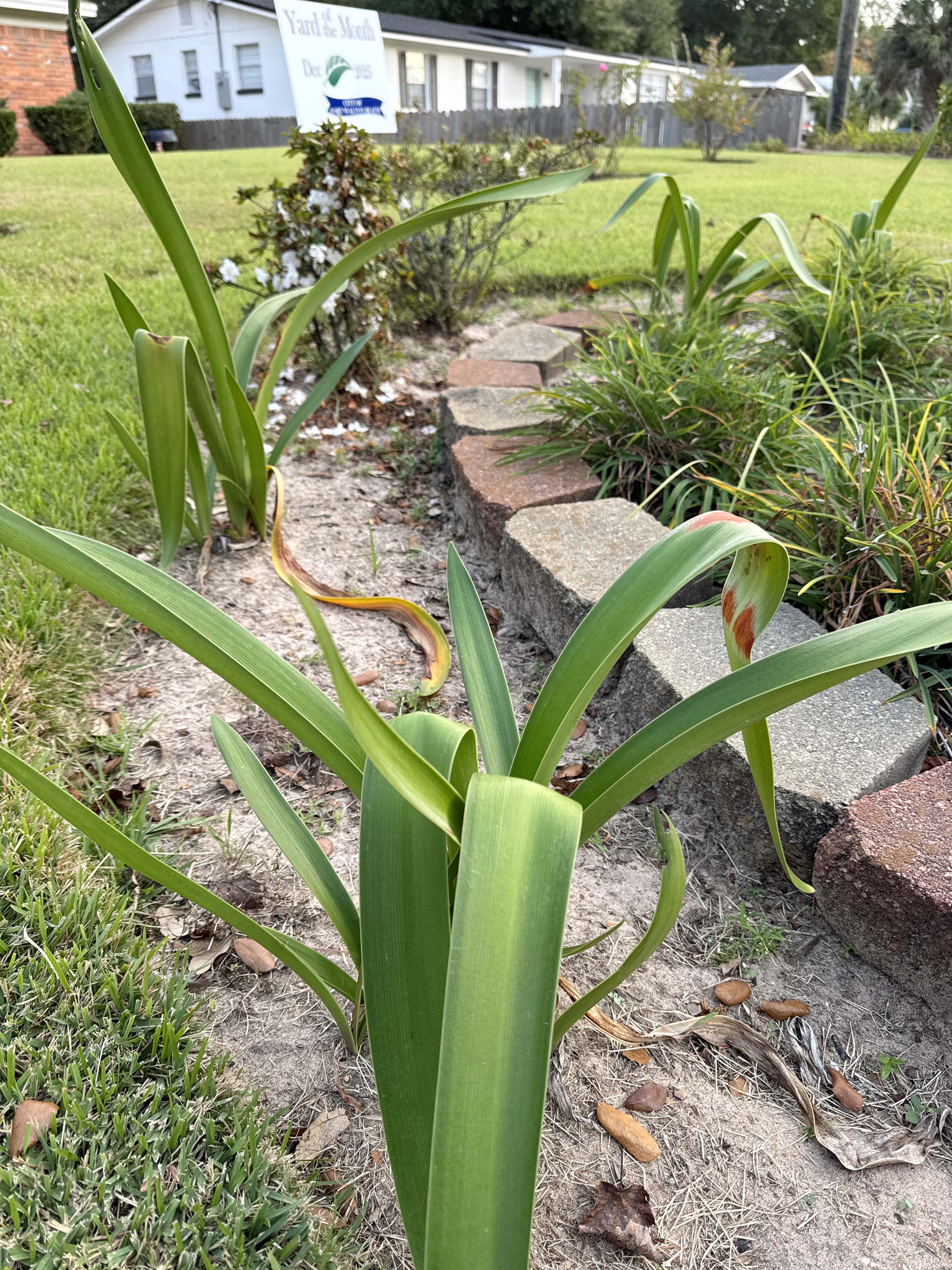 A picture of our December 2025 Yard of the Month winner.