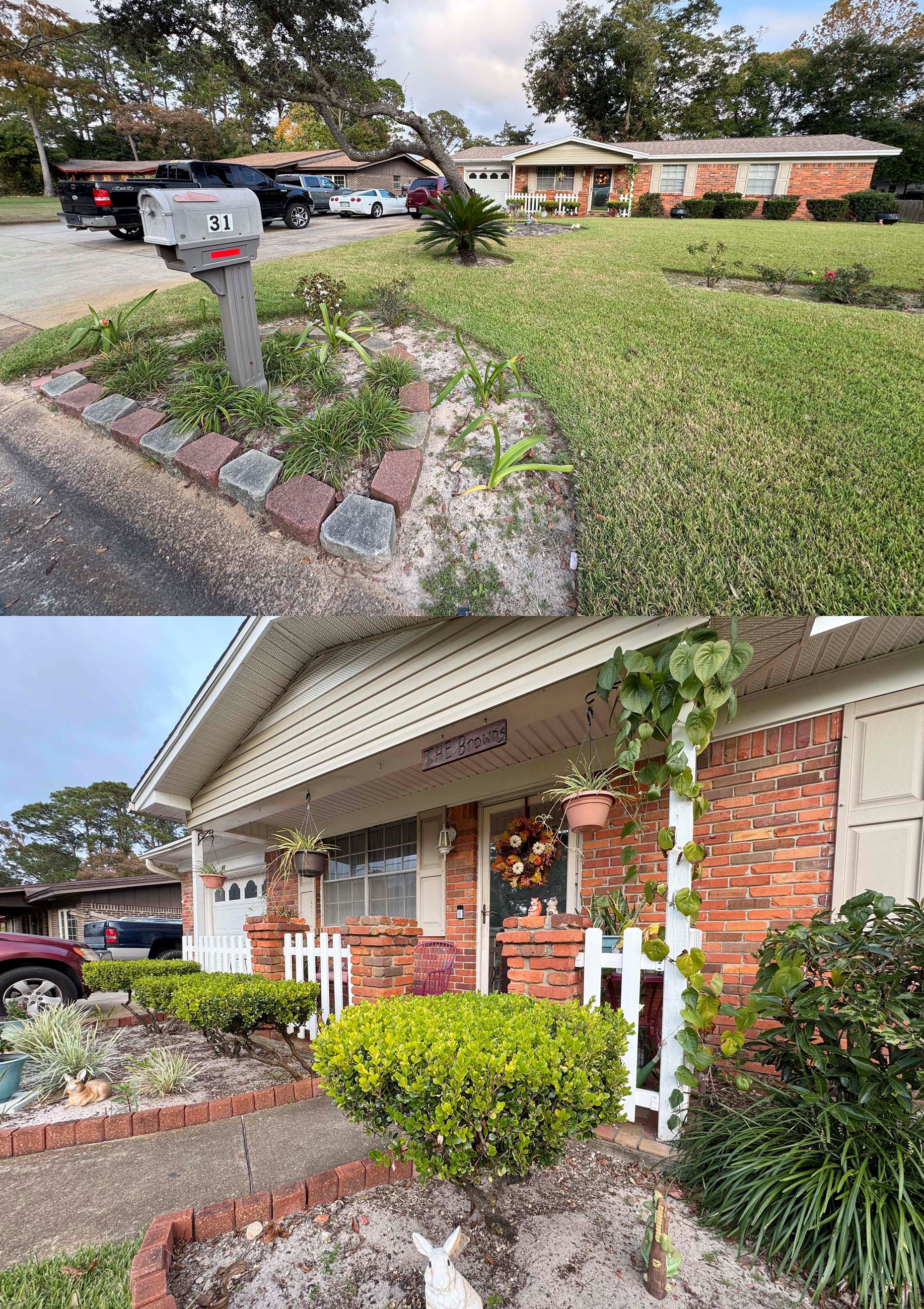 A picture from our December 2025 Yard of the Month winner.