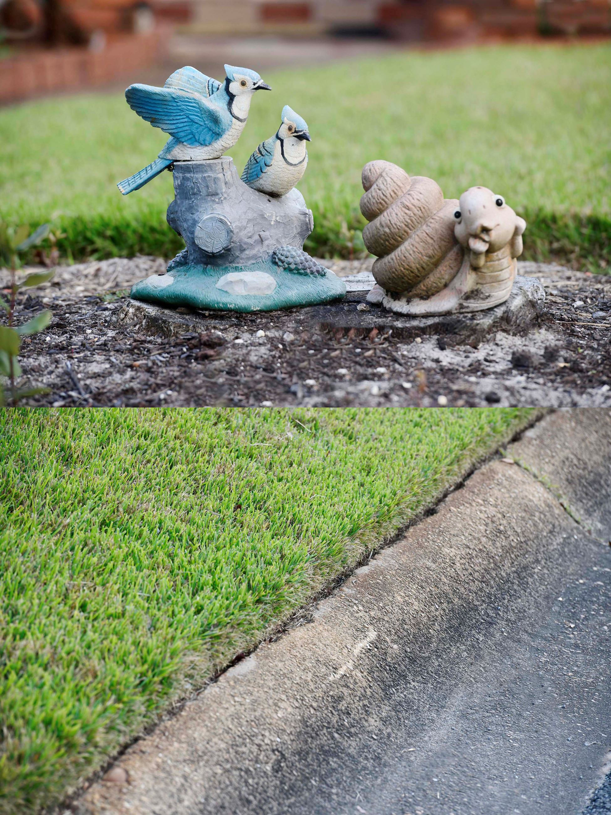 A picture from our December 2025 Yard of the Month winner.